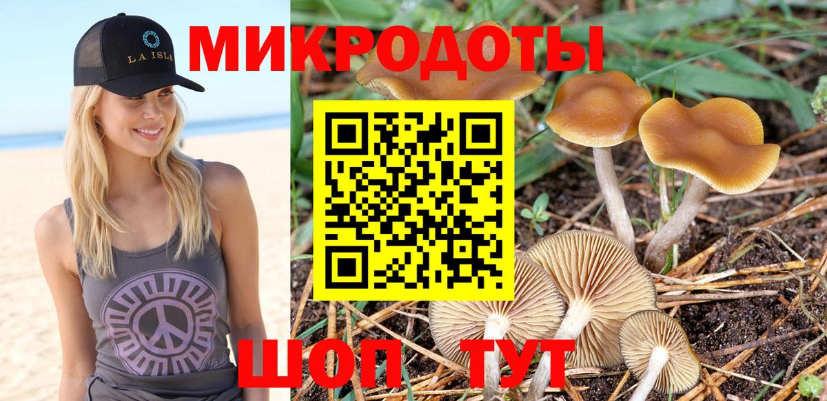 Галлюциногенные грибы Magic Shrooms  Галлюциногенные грибы ЛСД  Вход с VPN  купить закладку  Железногорск 